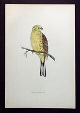 Yellowhammer original antique for sale  ILKLEY