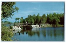 Cartão postal vintage 1955 jogo de entrada refúgio esportistas Park Bridge Alpena Michigan comprar usado  Enviando para Brazil