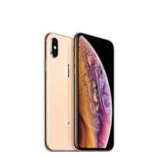Apple iphone gold usato  Belluno