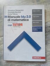 Manuale blu 2.0 usato  Borgoratto Alessandrino