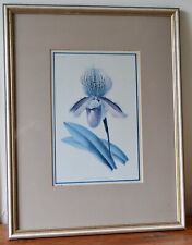 Revue Horticole Framed & Glazed Print - Cypripedium Germaine Opoix by JR Guillot for sale  Shipping to South Africa