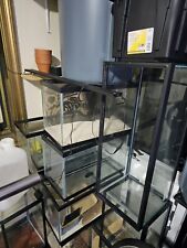 Used, Gallon fish tanks for sale  Brooklyn