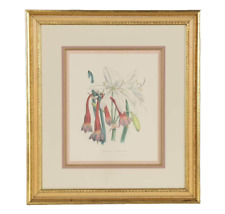 Botanical Wall Art Framed Lithograph "Crinum Arenarium" by Jane Loudon for sale  Shipping to South Africa