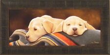 Yellow lab pups for sale  Onamia