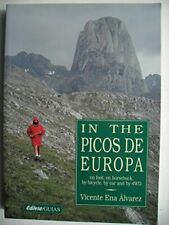 In the Picos de Europa By Vincente ena Alvarez, usado segunda mano  Embacar hacia Mexico
