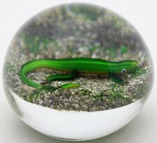 Unique DELMO TARSITANO Vivid SALAMANDER Earth LIFE SERIES Art Glass PAPERWEIGHT for sale  Shipping to South Africa