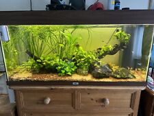 Juwel aquarium fish for sale  LONDON