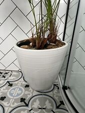 Matching ceramic plant for sale  LONDON