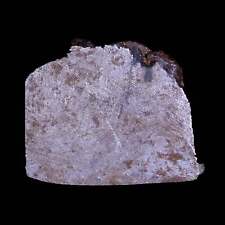 Gibeon meteorite specimen for sale  Post Falls