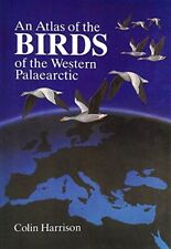 Atlas birds western for sale  UK