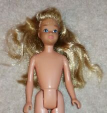 Barbie younger sister for sale  KENDAL