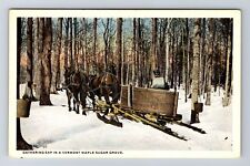 Vermont gathering sap for sale  USA