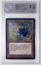 black lotus gebraucht kaufen  Weener