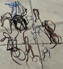 horse blinders for sale  Stockton