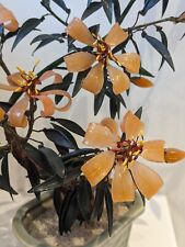jade bonsai tree for sale  ENFIELD