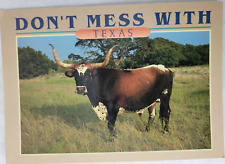 Long horned steer for sale  Saint Louis
