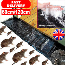 Large size mice for sale  MANCHESTER