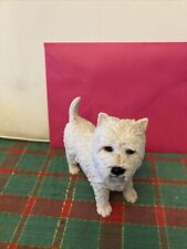 Dog white westie for sale  LEICESTER