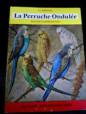 Oiseaux perruche ondulée d'occasion  Meung-sur-Loire