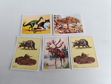 Lot stickers animaux d'occasion  Saint-Quentin
