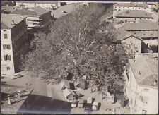 1959 udine platano usato  Cremona