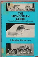 Mongolian gerbil guide for sale  ROSSENDALE