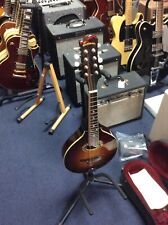 Eastman md504 mandolin for sale  Saint Petersburg