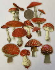 Red white mushroom for sale  Grants Pass