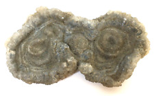 31g fossil mineral for sale  LITTLEHAMPTON