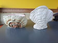 Sylvac vases shell for sale  CANNOCK
