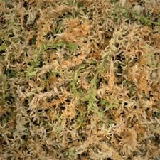 Fresh sphagnum moss for sale  ISLEWORTH