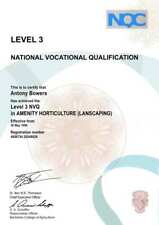 Novelty certificates customise for sale  BRADFORD