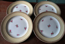 Assiettes plates ceranord d'occasion  France