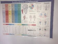 Med lehrtafel funktionskreis gebraucht kaufen  Halle