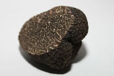 Mycélium truffe noire d'occasion  Clermont-Ferrand-