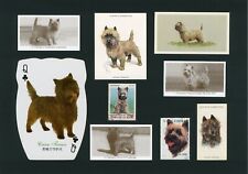 Cairn terrier mounted for sale  Shipping to Ireland