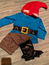 Gymboree gnome costume for sale  Raleigh