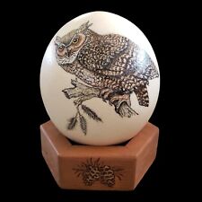 Great horn owl for sale  Rockville