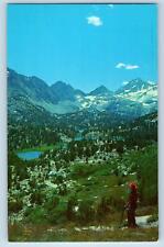 Mono County California CA Postcard Rock Creek Basin Showing Marsh 1967 Vintage for sale  Shipping to South Africa