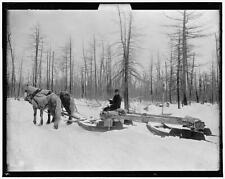 Logging sled lumber for sale  USA