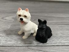Miniature scottish terrier for sale  LIVINGSTON