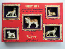 Whimsies pedigree dogs for sale  GLASGOW