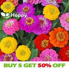 Zinnia super yoga for sale  DONCASTER