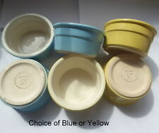 Ceramic ramekin dishes for sale  SHEFFIELD