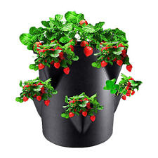 Strawberry planters outdoor for sale  Dayton