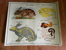 Affiche scolaire editions d'occasion  Fréthun