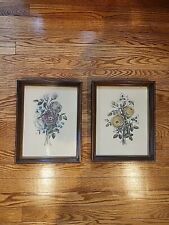 Botanical pictures framed for sale  Hyattsville