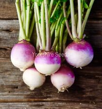 2100x organic turnip for sale  DEWSBURY