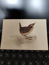 Wren bird postcard for sale  SPALDING