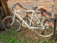 Old painted bike for sale  DORKING